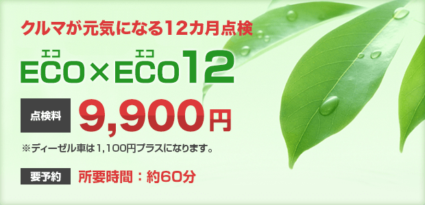 ECO×ECO12