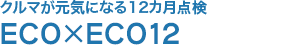 燃費の良くなる12カ月点検 ECO×ECO12